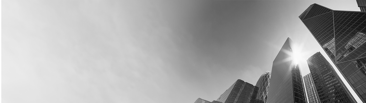   Infrastructure and Transportation 